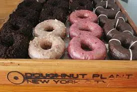 Résultat de recherche d'images pour "doughnut plant"