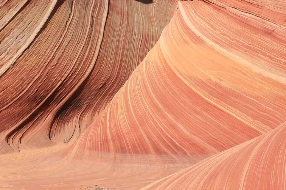 The Wave