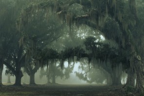 Un amour de Louisiane