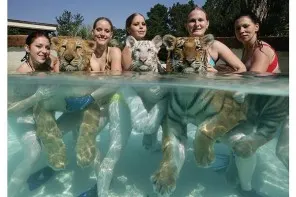 Les attractions les plus crazy des US