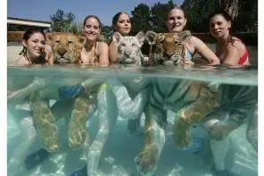 Les attractions les plus crazy des US