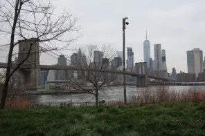 Les bonnes raisons d’aimer Brooklyn
